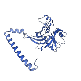 24420_8euy_x_v1-2
Ytm1 associated nascent 60S ribosome (-fkbp39) State 1A