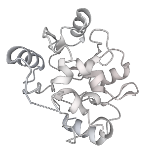 24420_8euy_y_v1-2
Ytm1 associated nascent 60S ribosome (-fkbp39) State 1A