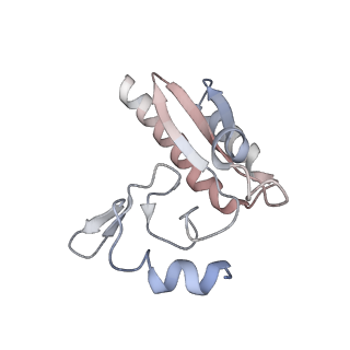 24423_8eui_3_v1-2
Ytm1 associated nascent 60S ribosome (-fkbp39) State 3