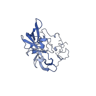 24423_8eui_A_v1-2
Ytm1 associated nascent 60S ribosome (-fkbp39) State 3