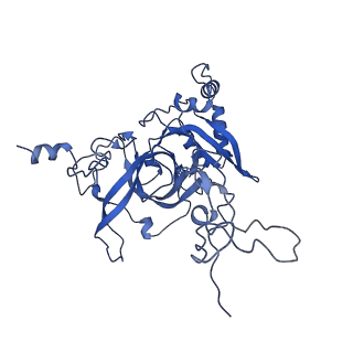 24423_8eui_B_v1-2
Ytm1 associated nascent 60S ribosome (-fkbp39) State 3
