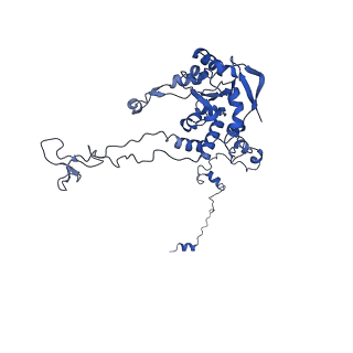 24423_8eui_C_v1-2
Ytm1 associated nascent 60S ribosome (-fkbp39) State 3