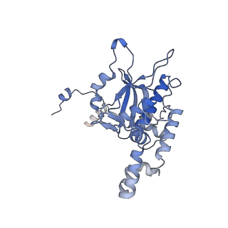 24423_8eui_D_v1-2
Ytm1 associated nascent 60S ribosome (-fkbp39) State 3