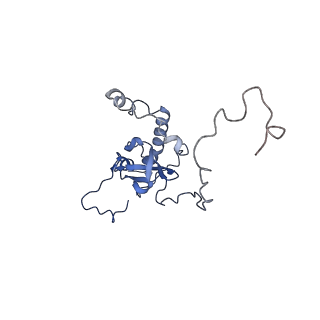 24423_8eui_E_v1-2
Ytm1 associated nascent 60S ribosome (-fkbp39) State 3