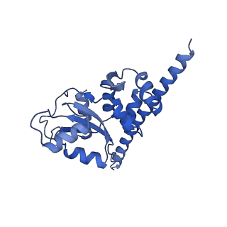 24423_8eui_F_v1-2
Ytm1 associated nascent 60S ribosome (-fkbp39) State 3