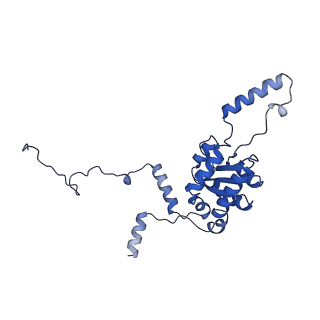 24423_8eui_G_v1-2
Ytm1 associated nascent 60S ribosome (-fkbp39) State 3