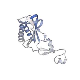 24423_8eui_I_v1-2
Ytm1 associated nascent 60S ribosome (-fkbp39) State 3