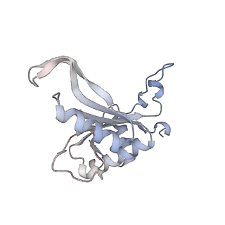 24423_8eui_J_v1-2
Ytm1 associated nascent 60S ribosome (-fkbp39) State 3