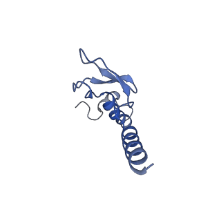 24423_8eui_K_v1-2
Ytm1 associated nascent 60S ribosome (-fkbp39) State 3