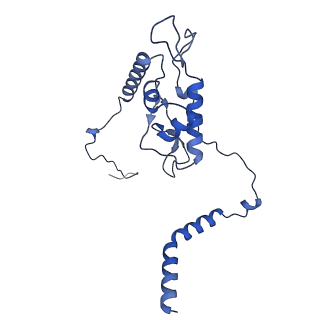 24423_8eui_L_v1-2
Ytm1 associated nascent 60S ribosome (-fkbp39) State 3