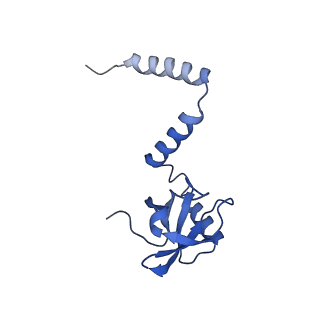 24423_8eui_M_v1-2
Ytm1 associated nascent 60S ribosome (-fkbp39) State 3