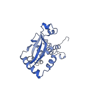 24423_8eui_N_v1-2
Ytm1 associated nascent 60S ribosome (-fkbp39) State 3