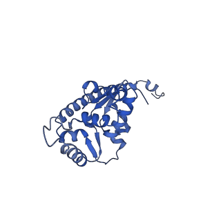 24423_8eui_O_v1-2
Ytm1 associated nascent 60S ribosome (-fkbp39) State 3