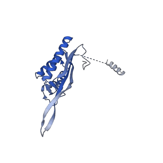 24423_8eui_P_v1-2
Ytm1 associated nascent 60S ribosome (-fkbp39) State 3