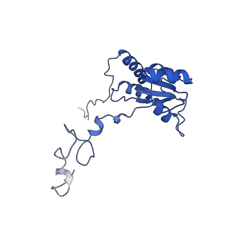 24423_8eui_Q_v1-2
Ytm1 associated nascent 60S ribosome (-fkbp39) State 3