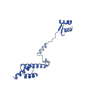 24423_8eui_R_v1-2
Ytm1 associated nascent 60S ribosome (-fkbp39) State 3