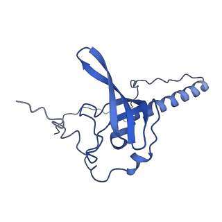 24423_8eui_T_v1-2
Ytm1 associated nascent 60S ribosome (-fkbp39) State 3