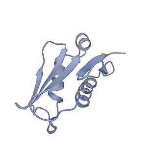 24423_8eui_U_v1-2
Ytm1 associated nascent 60S ribosome (-fkbp39) State 3