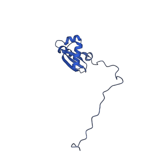 24423_8eui_X_v1-2
Ytm1 associated nascent 60S ribosome (-fkbp39) State 3