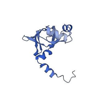 24423_8eui_Y_v1-2
Ytm1 associated nascent 60S ribosome (-fkbp39) State 3