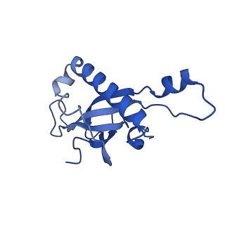 24423_8eui_Z_v1-2
Ytm1 associated nascent 60S ribosome (-fkbp39) State 3