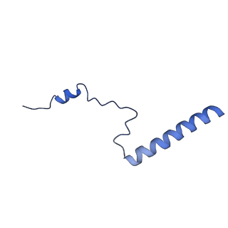 24423_8eui_b_v1-2
Ytm1 associated nascent 60S ribosome (-fkbp39) State 3