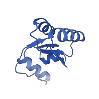 24423_8eui_c_v1-2
Ytm1 associated nascent 60S ribosome (-fkbp39) State 3