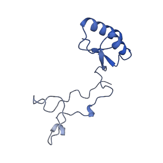 24423_8eui_e_v1-2
Ytm1 associated nascent 60S ribosome (-fkbp39) State 3