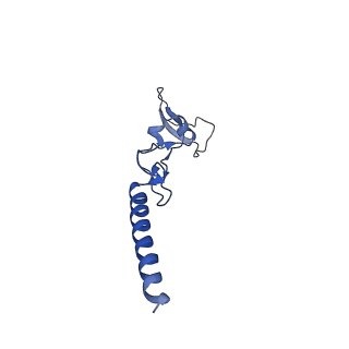 24423_8eui_g_v1-2
Ytm1 associated nascent 60S ribosome (-fkbp39) State 3