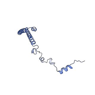 24423_8eui_h_v1-2
Ytm1 associated nascent 60S ribosome (-fkbp39) State 3