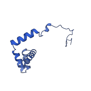 24423_8eui_i_v1-2
Ytm1 associated nascent 60S ribosome (-fkbp39) State 3