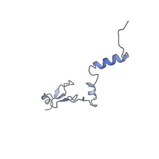 24423_8eui_j_v1-2
Ytm1 associated nascent 60S ribosome (-fkbp39) State 3