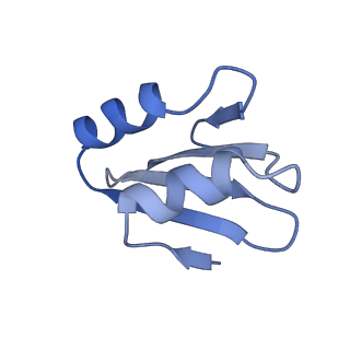 24423_8eui_k_v1-2
Ytm1 associated nascent 60S ribosome (-fkbp39) State 3