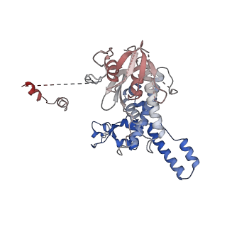 24423_8eui_n_v1-2
Ytm1 associated nascent 60S ribosome (-fkbp39) State 3