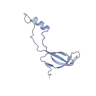 24423_8eui_o_v1-2
Ytm1 associated nascent 60S ribosome (-fkbp39) State 3