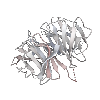 24423_8eui_p_v1-2
Ytm1 associated nascent 60S ribosome (-fkbp39) State 3