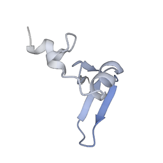 24423_8eui_u_v1-2
Ytm1 associated nascent 60S ribosome (-fkbp39) State 3