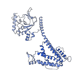 28603_8eu3_A_v1-0
Cryo-EM structure of cGMP bound human CNGA3/CNGB3 channel in GDN, transition state 1