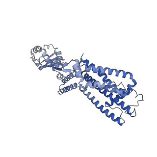 28603_8eu3_B_v1-0
Cryo-EM structure of cGMP bound human CNGA3/CNGB3 channel in GDN, transition state 1