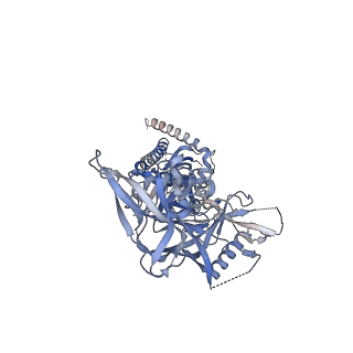 28608_8eu8_C_v1-1
Cryo-EM structure of CH848 10.17DT DS-SOSIP-2P Env