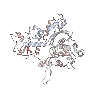 28609_8eu9_R_v1-1
Class1 of the INO80-Nucleosome complex