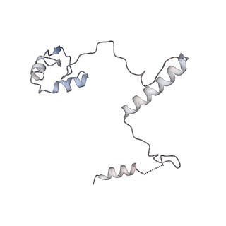 28609_8eu9_S_v1-1
Class1 of the INO80-Nucleosome complex