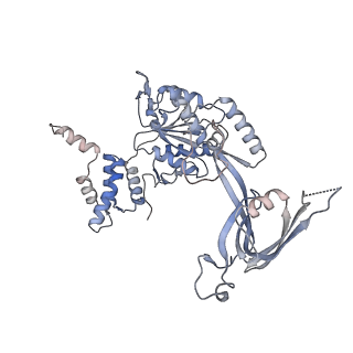 28609_8eu9_T_v1-1
Class1 of the INO80-Nucleosome complex