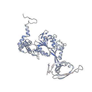 28609_8eu9_U_v1-1
Class1 of the INO80-Nucleosome complex