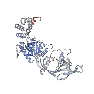 28609_8eu9_V_v1-1
Class1 of the INO80-Nucleosome complex