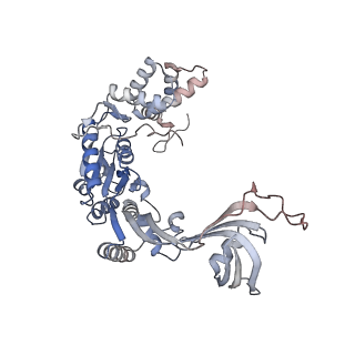 28609_8eu9_W_v1-1
Class1 of the INO80-Nucleosome complex