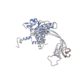 28609_8eu9_Y_v1-1
Class1 of the INO80-Nucleosome complex