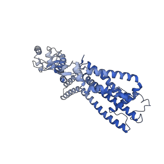 28611_8euc_B_v1-0
Cryo-EM structure of cGMP bound human CNGA3/CNGB3 channel in GDN, transition state 2