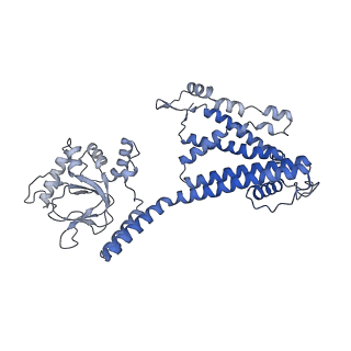 28611_8euc_C_v1-0
Cryo-EM structure of cGMP bound human CNGA3/CNGB3 channel in GDN, transition state 2