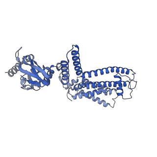 28611_8euc_D_v1-0
Cryo-EM structure of cGMP bound human CNGA3/CNGB3 channel in GDN, transition state 2